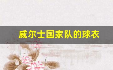 威尔士足球国家队-威尔士国家队的球衣