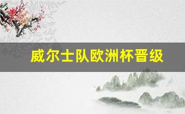威尔士队欧洲杯最好成绩-威尔士队欧洲杯晋级