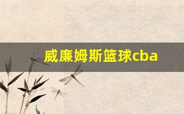 威廉姆斯篮球赛-威廉姆斯篮球cba