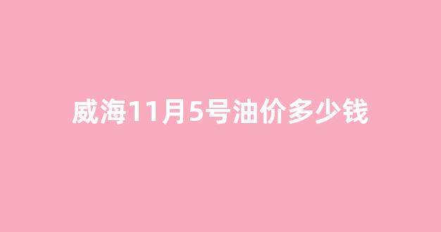 威海11月5号油价多少钱_威海今日油价92汽油价格