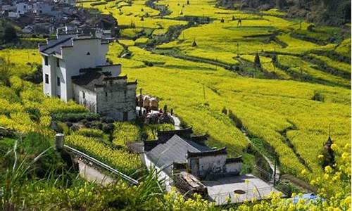 婺源旅游最佳时间表_婺源旅游最佳时间表图片