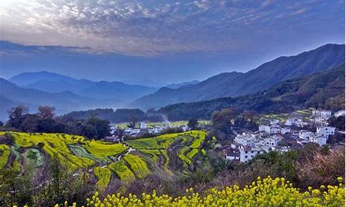 婺源油菜花在哪个景区