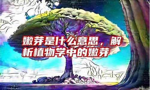 嫩芽是什么意思-嫩芽前面填什么形容词