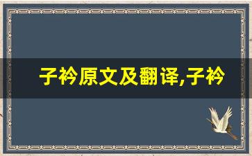 子衿原文及翻译,子衿全文,子衿翻译,子衿全诗解析-第1张图片-我的生活随想