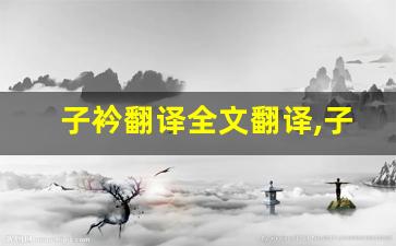 子衿翻译全文翻译,子衿翻译讲了什么,子衿翻译经典句子-第1张图片-我的生活随想