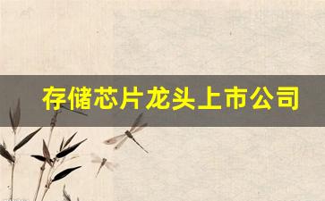存储芯片龙头上市公司有哪些股票(存储芯片龙头上市公司)_https://www.eamstsz.com_深交所_第1张