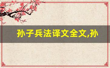孙子兵法译文全文,孙子兵法译文讲了什么,孙子兵法译文经典句子-第1张图片-我的生活随想