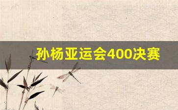 孙杨亚运会400决赛-孙杨2018亚运会