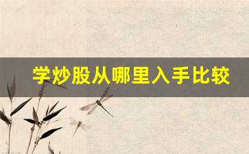 学炒股从哪里入手比较好呢(学炒股从哪里入手比较好呢知乎)_https://www.qgjzrcxxzxpt.com_郑商所_第1张