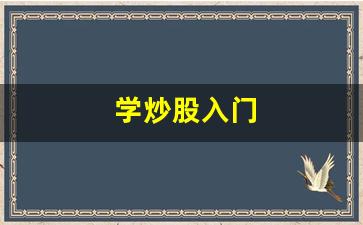 学炒股入门(怎么学炒股入门)_https://www.gzyhshgzzx.com_上期能源_第1张