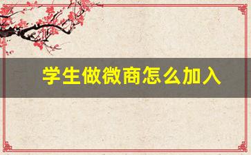 学生做微商怎么加入(16岁创业从哪入手)_https://www.heiljjianzu.com_上交所_第1张