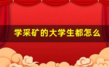学采矿的大学生都怎么样了(学采矿的可以做哪些工作)_https://www.luoxuangg888.com_上交所_第1张