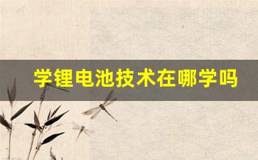 学锂电池技术在哪学吗(学做锂电池的发展怎么样)_https://www.gzyhshgzzx.com_大商所_第1张
