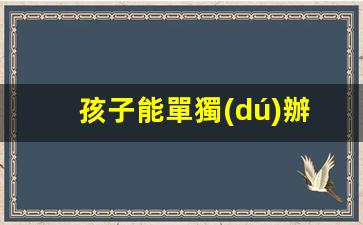 孩子能單獨(dú)辦理馬來西亞簽證嗎(孩子能單獨(dú)辦理馬來西亞簽證嗎)