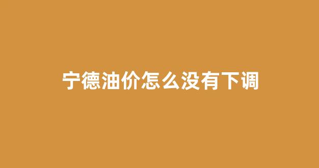 宁德油价怎么没有下调_宁德哪里加油便宜