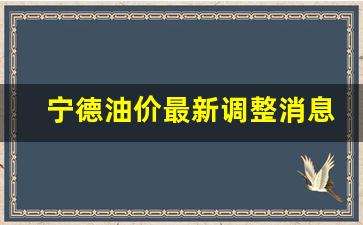 宁德油价最新调整消息-宁德油价最新调整消息查询