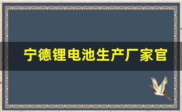 宁德锂电池生产厂家官网(宁德锂电池生产厂家官网首页)_https://www.luoxuangg888.com_北交所_第1张