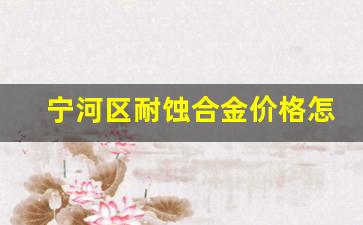 沈阳耐蚀合金泵股份有限公司怎么样_宁河区耐蚀合金价格怎么样