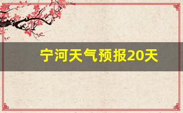 宁河天气预报20天_宁河天气预报今天二十四小时