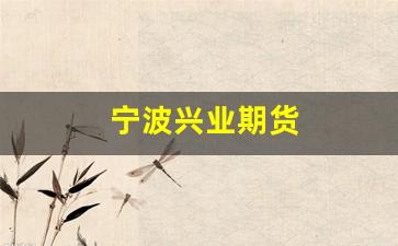 宁波兴业期货(宁波兴业期货公司地址)_https://www.wguangz.com_上期所_第1张