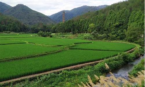 宁波到天台山大巴多久时间-宁波到天台山旅游攻略