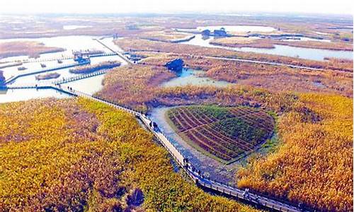 宁波杭州湾湿地建设管理有限公司,宁波杭州湾湿地公园旅游