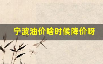 宁波油价啥时候降价呀_宁波地区油价