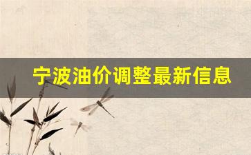 宁波油价调整最新信息查询-宁波油价调整最新信息