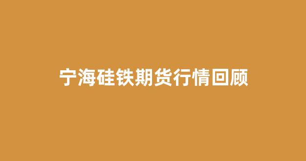 宁海硅铁期货行情回顾(外盘硅铁期货行情)_https://www.hhem8.com_上交所_第1张