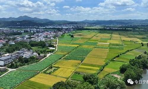 宁都天气_宁都天气预报40天查询