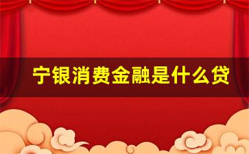 宁银消费金融是什么贷款平台(宁银消费金融有限公司什么贷款app)_https://www.kairu168.com_中金所_第1张