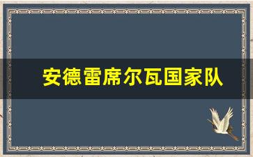 安德森·席尔瓦战绩-安德雷席尔瓦国家队