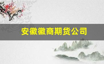 安徽徽商期货公司(安徽徽商期货有限公司)_https://www.taocizhiliang.com_设计报价_第1张
