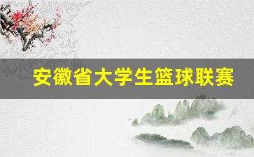 安徽省大学生篮球赛2020-安徽省大学生篮球联赛赛程
