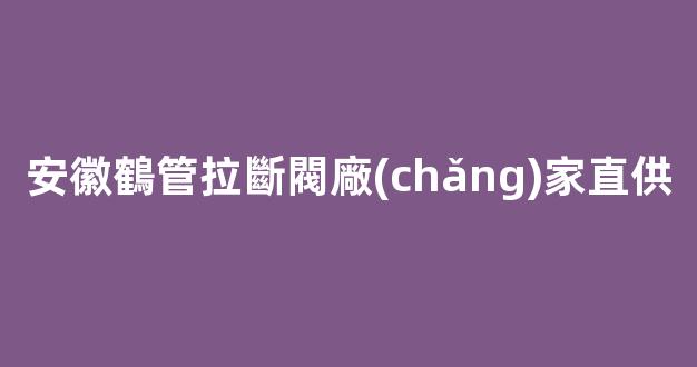 安徽鶴管拉斷閥廠(chǎng)家直供(鶴管拉斷閥結(jié)構(gòu)原理)(1)