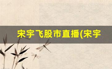 宋宇飞股市直播(宋宇飞在股市放了多少钱)_https://www.kairu168.com_中金所_第1张