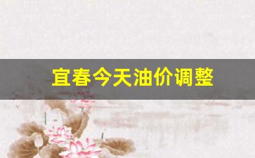 宜春今日天气情况-宜春今天油价调整