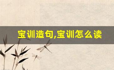 宝训造句,宝训怎么读,宝训的意思,宝训的组词-第1张图片-我的生活随想