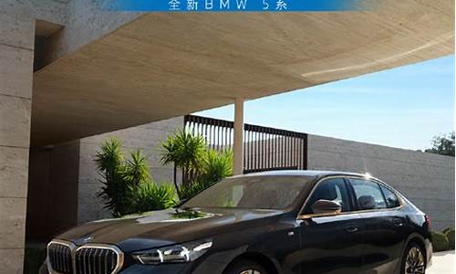 宝马汽车置换补贴2024政策_bmw置换补贴必须卖给4s店吗