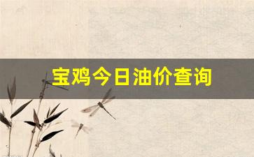 宝鸡今天油价调整最新消息-宝鸡今日油价查询
