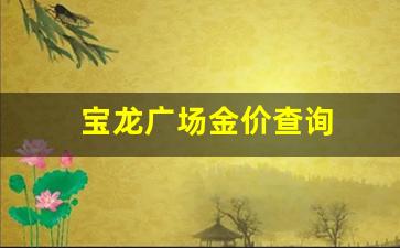 宝龙广场金价查询_宝龙广场里面的饰品