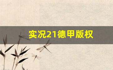实况21有哪些版权-实况21德甲版权
