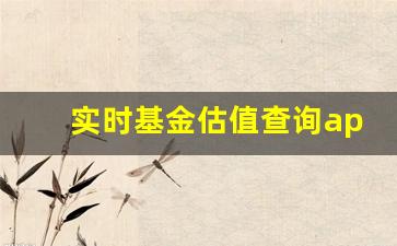 实时基金估值查询app(基金估值适时查询)_https://www.wanyuyiyao.com_上交所_第1张