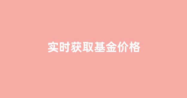 实时获取基金价格_实时基金数据