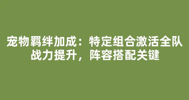 宠物羁绊加成：特定组合激活全队战力提升，阵容搭配关键