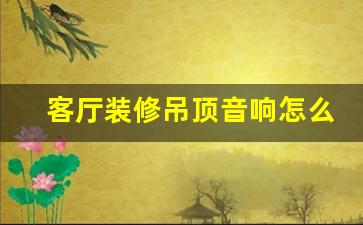 家里吊顶音响怎么安装-客厅装修吊顶音响怎么安装