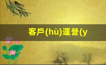 客戶(hù)運營(yíng)是做什么的插圖