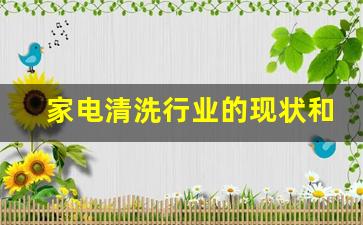 家电清洗行业的现状和前景晨美-家电清洗行业的现状和前景