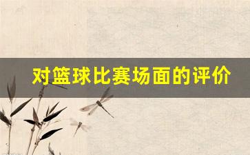 篮球对抗赛场面描写-对篮球比赛场面的评价