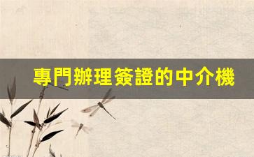 專門辦理簽證的中介機構(辦簽證的中介有哪些)